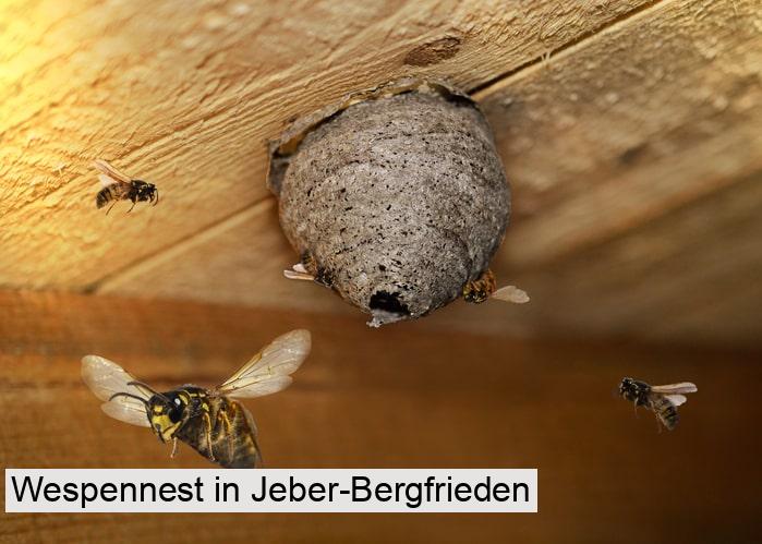 Wespennest in Jeber-Bergfrieden